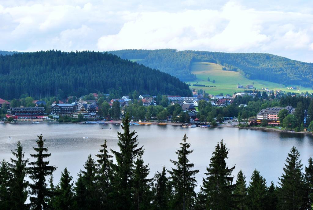 Pension Bergseeblick Titisee-Neustadt Exterior photo