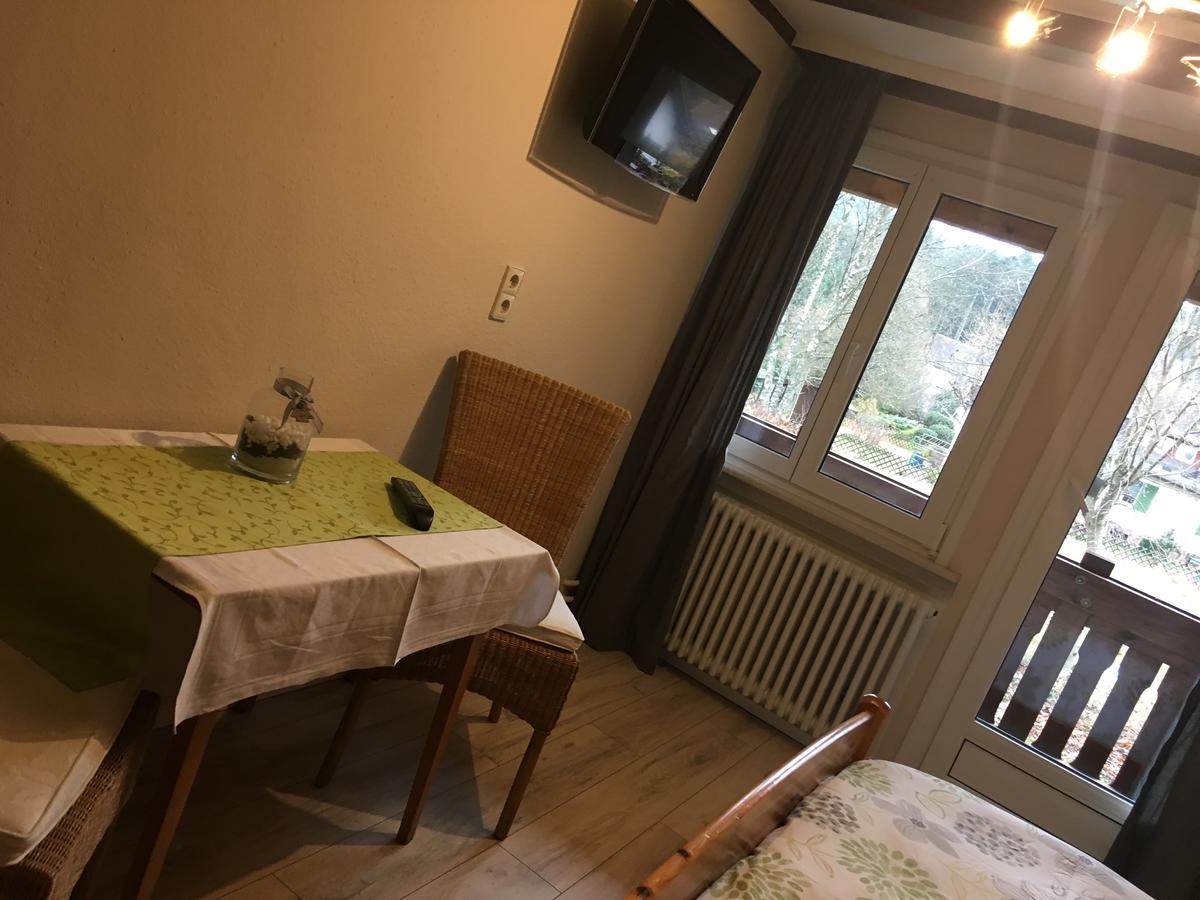 Pension Bergseeblick Titisee-Neustadt Exterior photo
